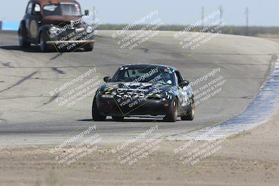 media/Sep-28-2024-24 Hours of Lemons (Sat) [[a8d5ec1683]]/1140am (Outside Grapevine)/